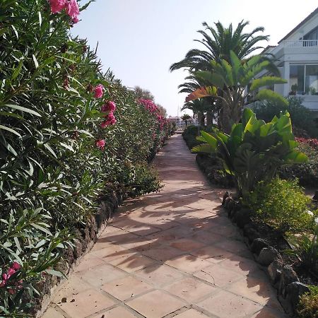 Apartamento La Palmera Amarilla Golf سان ميغيل ذي أبونا المظهر الخارجي الصورة